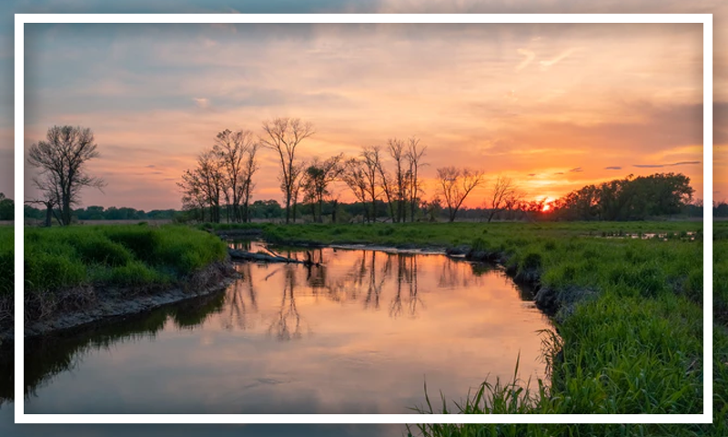 INTERNATIONAL WETLAND DAY : THE BENEFITS OF WETLANDS